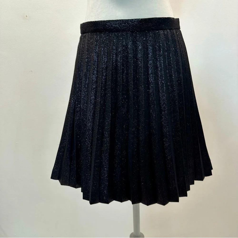 J. Crew Pleated Shimmer Black Flared Skater Skirt Women’s size 6